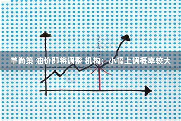 掌尚策 油价即将调整 机构：小幅上调概率较大