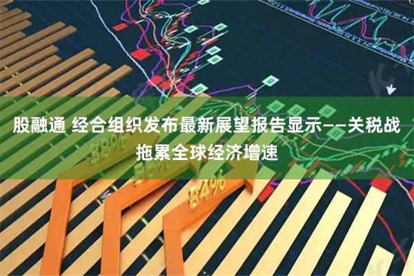 股融通 经合组织发布最新展望报告显示——关税战拖累全球经济增速