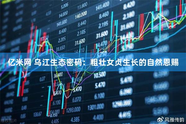 亿米网 乌江生态密码：粗壮女贞生长的自然恩赐