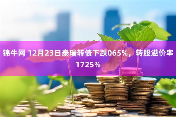 锦牛网 12月23日泰瑞转债下跌065%，转股溢价率1725%