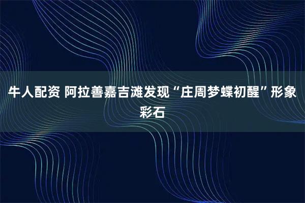 牛人配资 阿拉善嘉吉滩发现“庄周梦蝶初醒”形象彩石